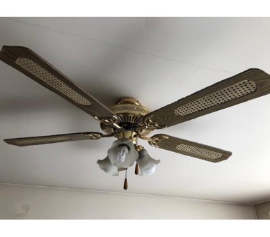 Lustre ventilateur