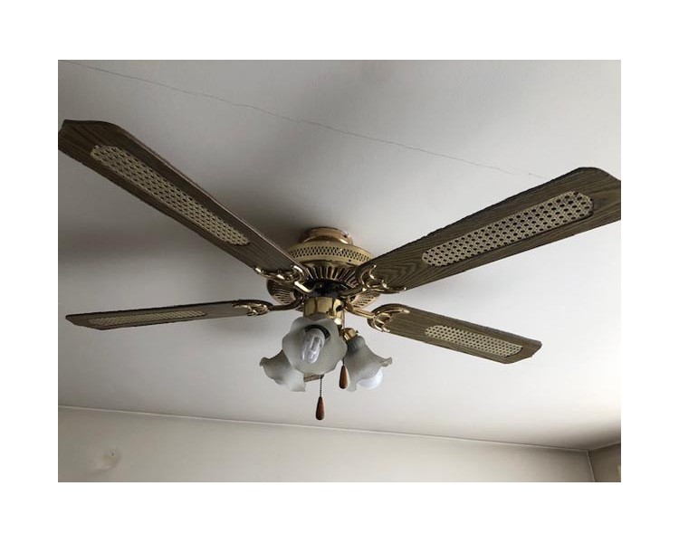 Lustre ventilateur