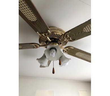 Lustre ventilateur
