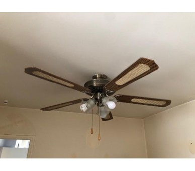 Lustre ventilateur