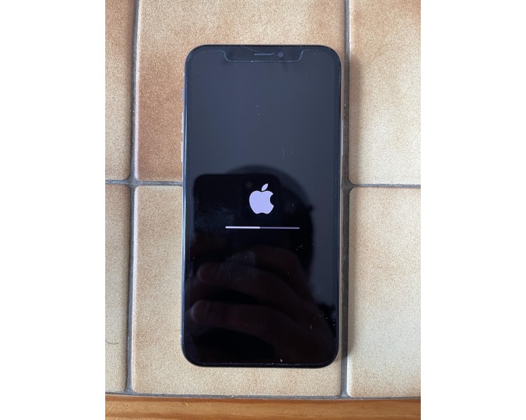Iphone X blanc 256 go