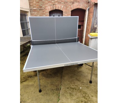 Table de ping pong